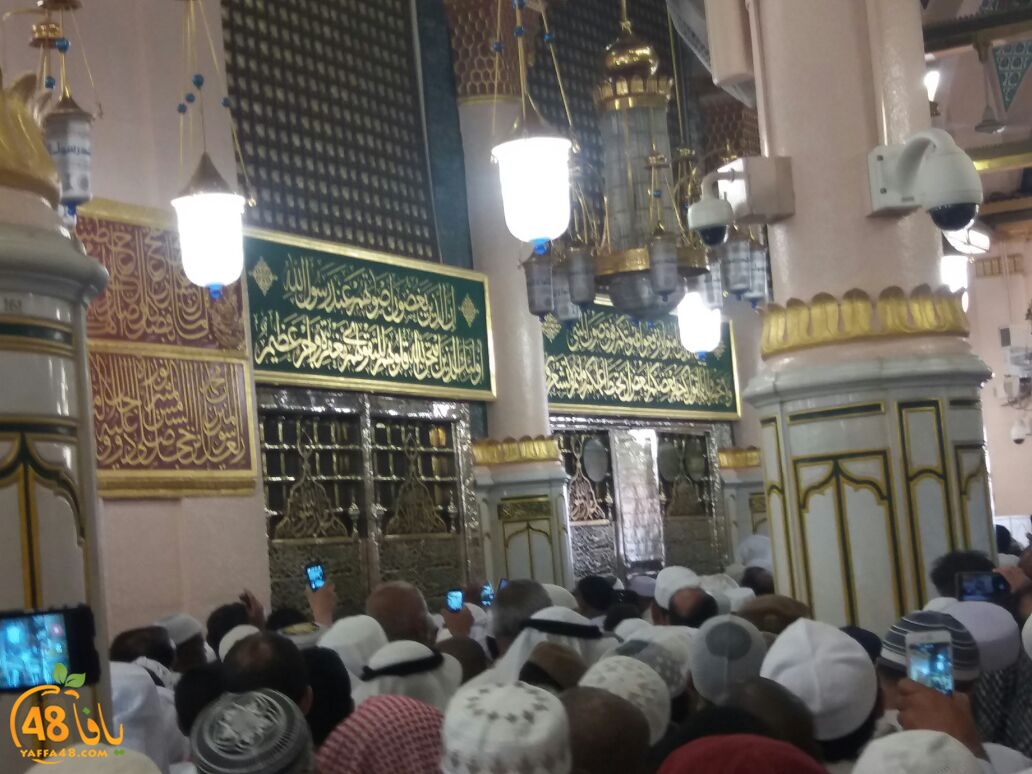 mot3tmren yaffaja (12).jpg